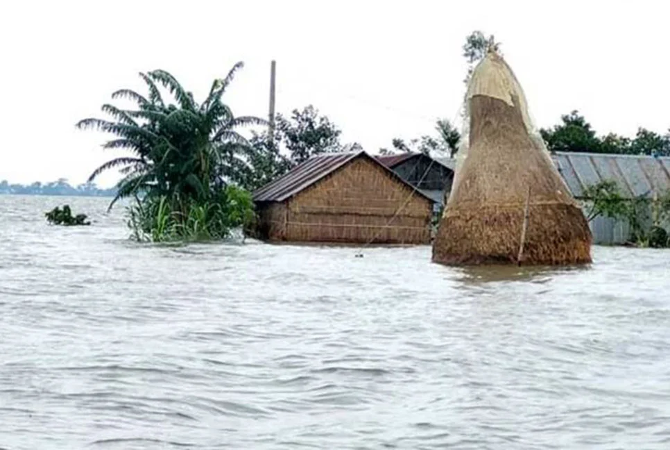 সিলেটে বন্যায় মৎস্য খাতে ২০ কোটি টাকার ক্ষতি